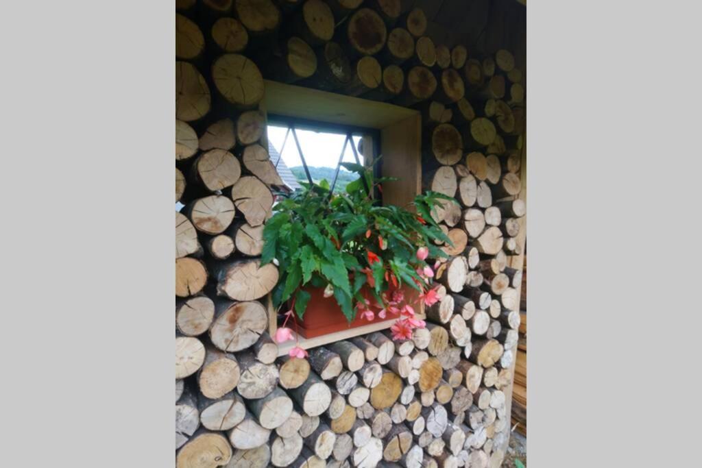 Hut At The Forest Male Brusnice 외부 사진