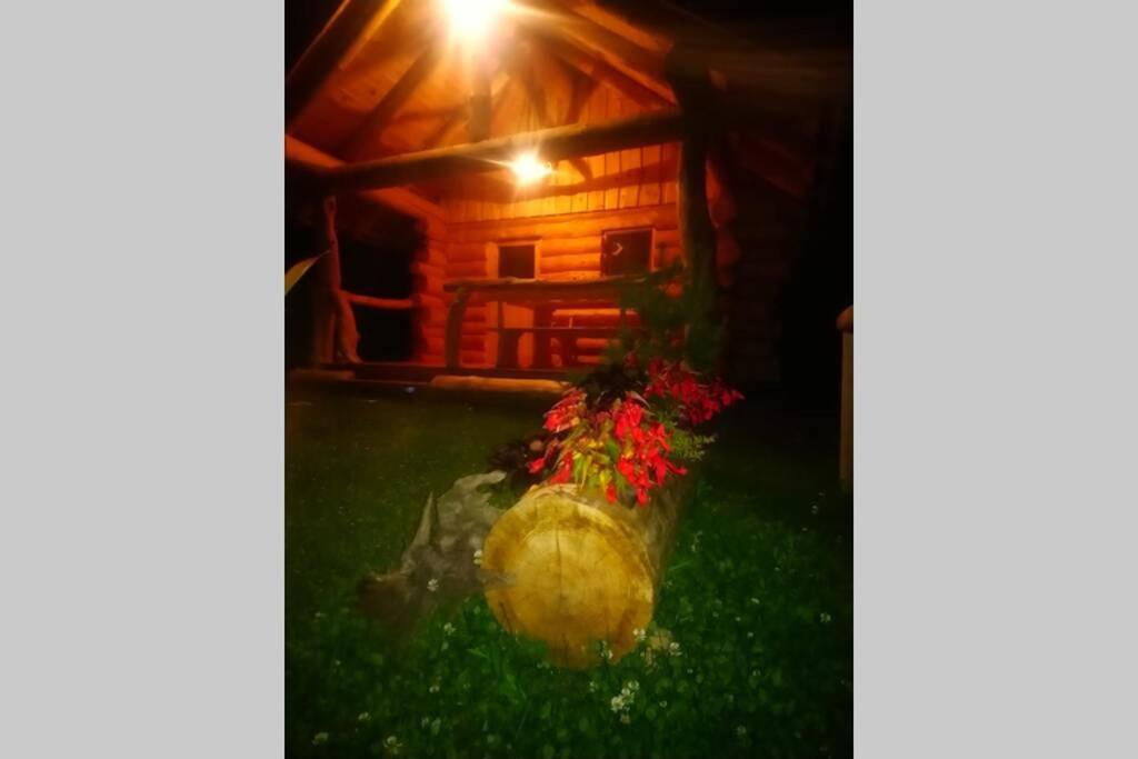 Hut At The Forest Male Brusnice 외부 사진