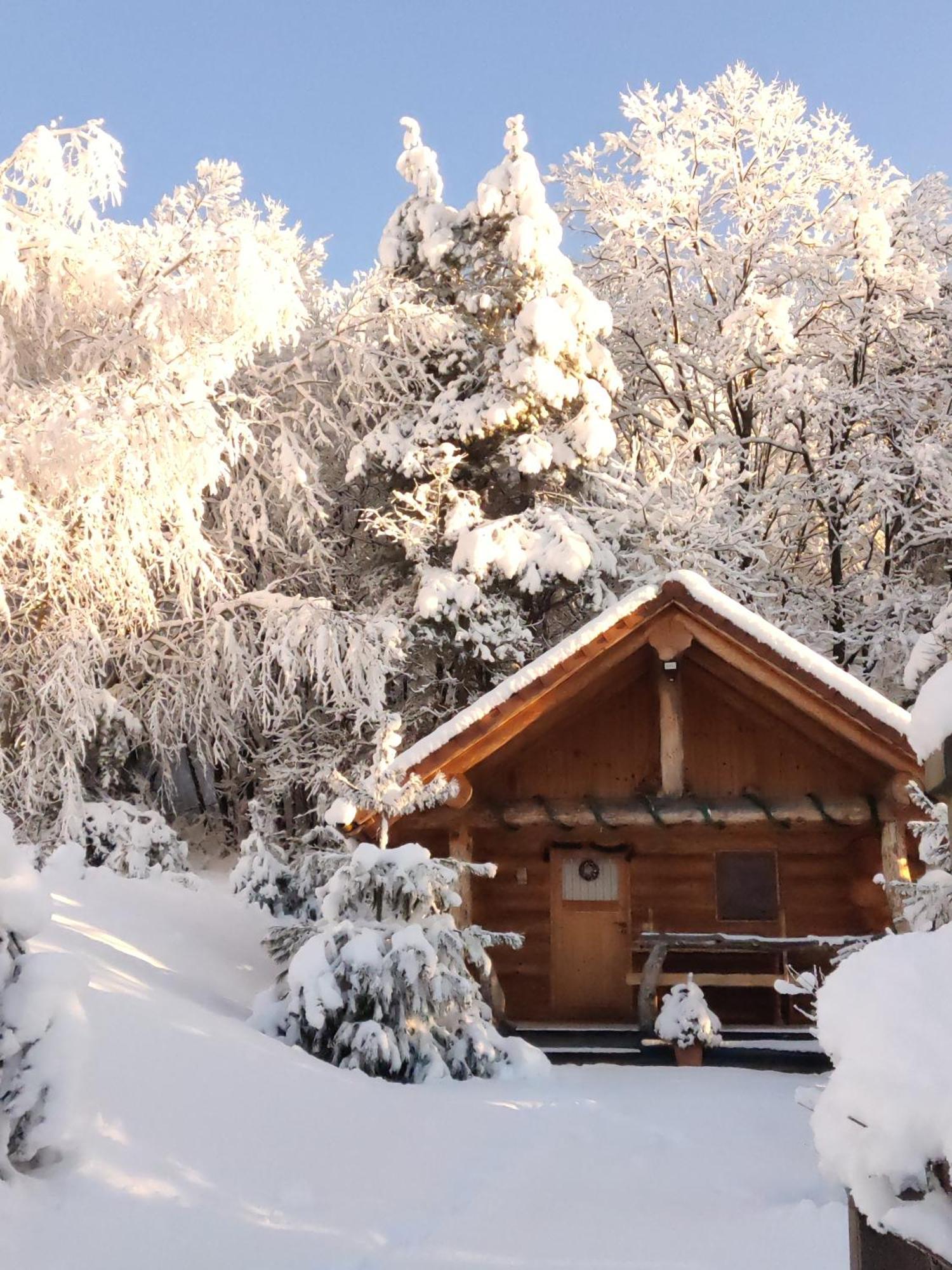 Hut At The Forest Male Brusnice 외부 사진