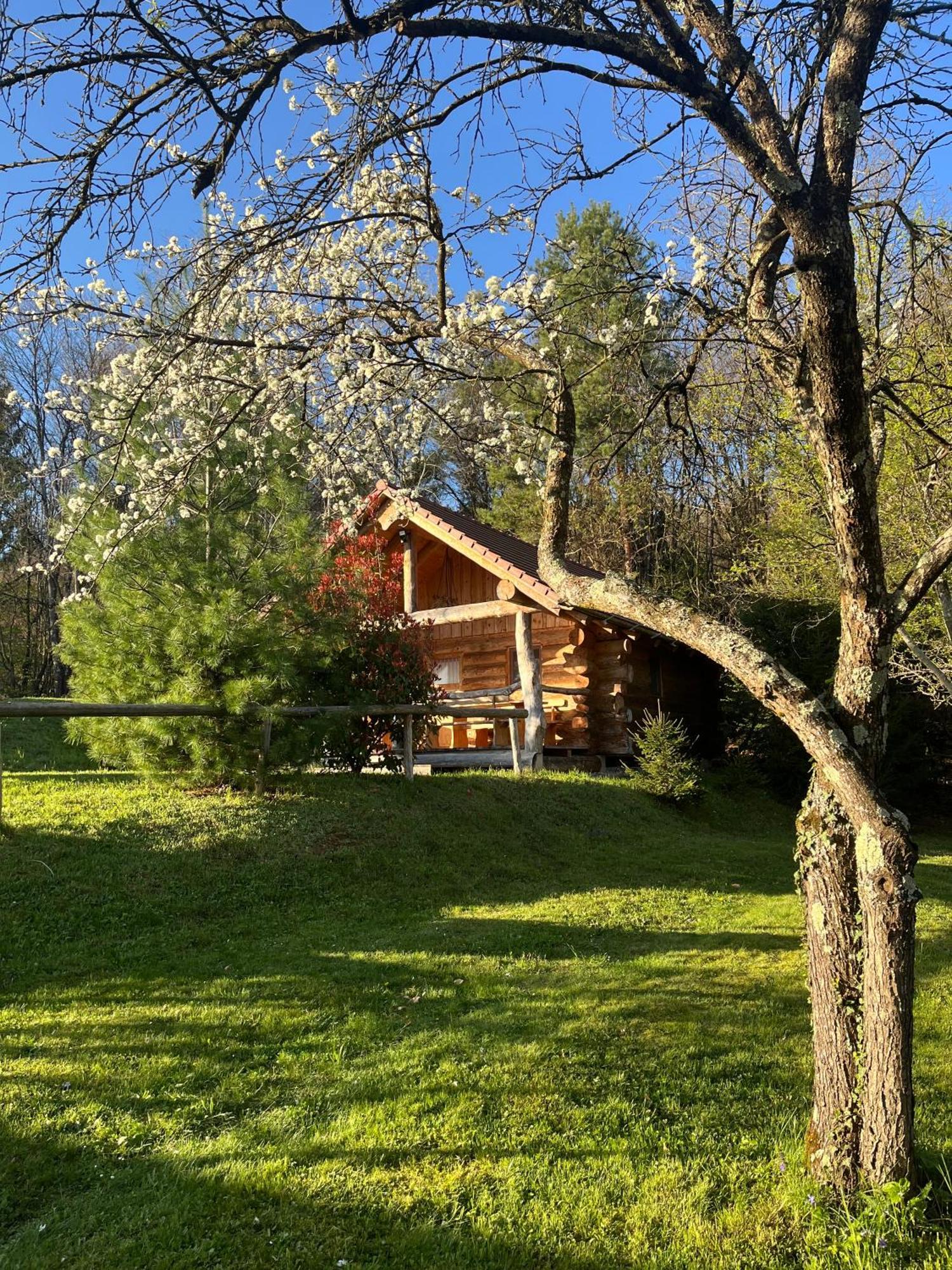 Hut At The Forest Male Brusnice 외부 사진